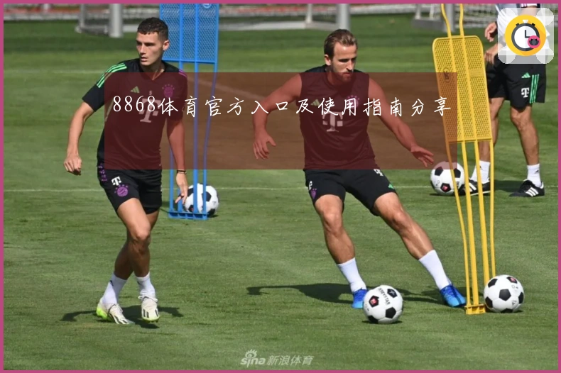 8868体育官方入口及使用指南分享