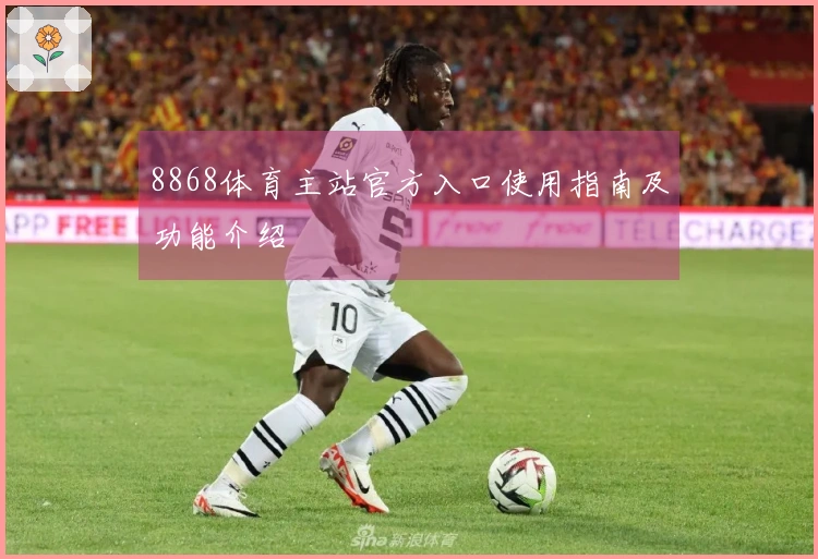 8868体育主站官方入口使用指南及功能介绍