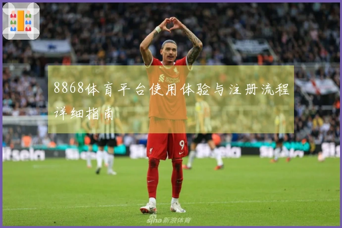 8868体育平台使用体验与注册流程详细指南